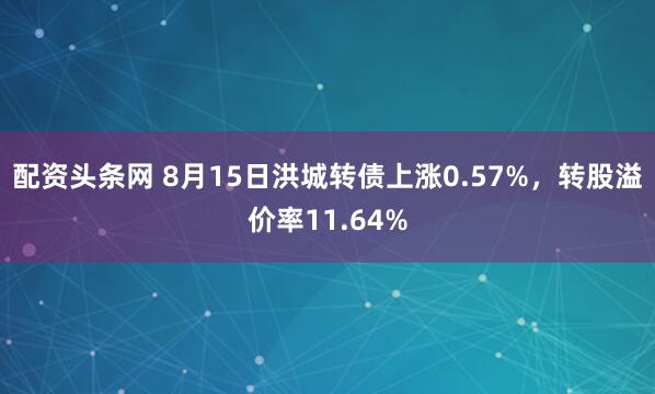 配资头条网 8月15日洪城转债上涨0.57%，转股溢价率11.64%